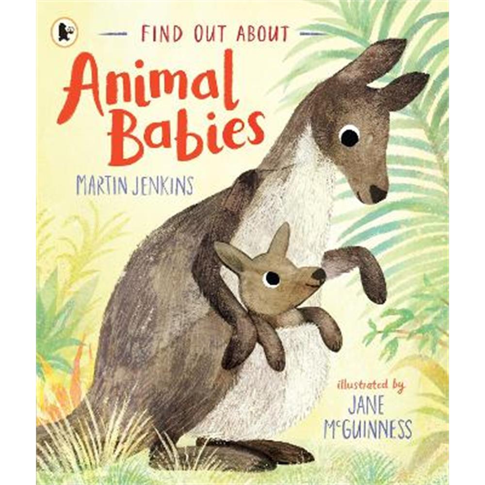 Find Out About ... Animal Babies (Paperback) - Martin Jenkins
